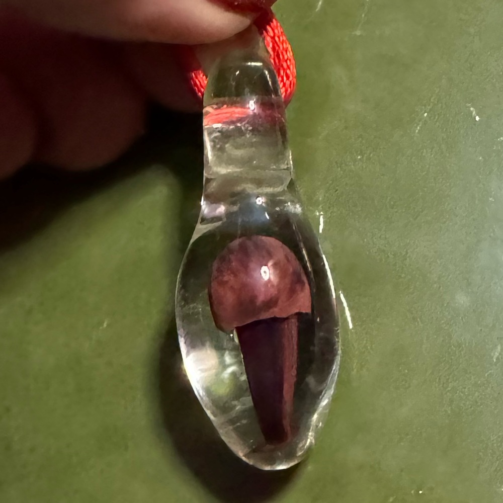Hand made mushroom pendant.